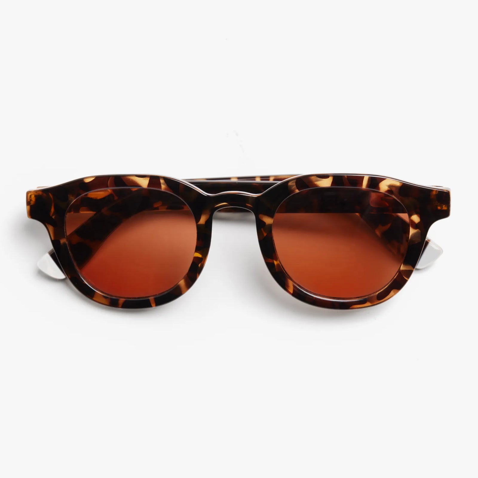 BARNER ANDY TORTOISE