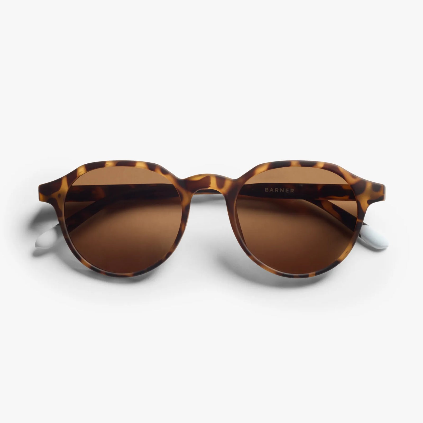 BARNER CHAMBERI TORTOISE