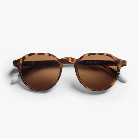 BARNER CHAMBERI TORTOISE