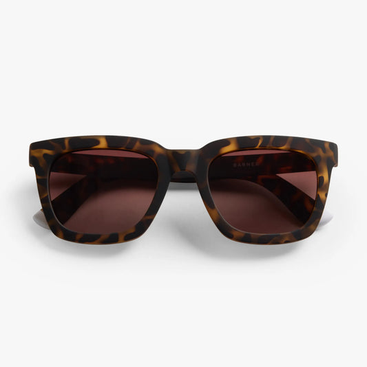 BARNER MAX TORTOISE