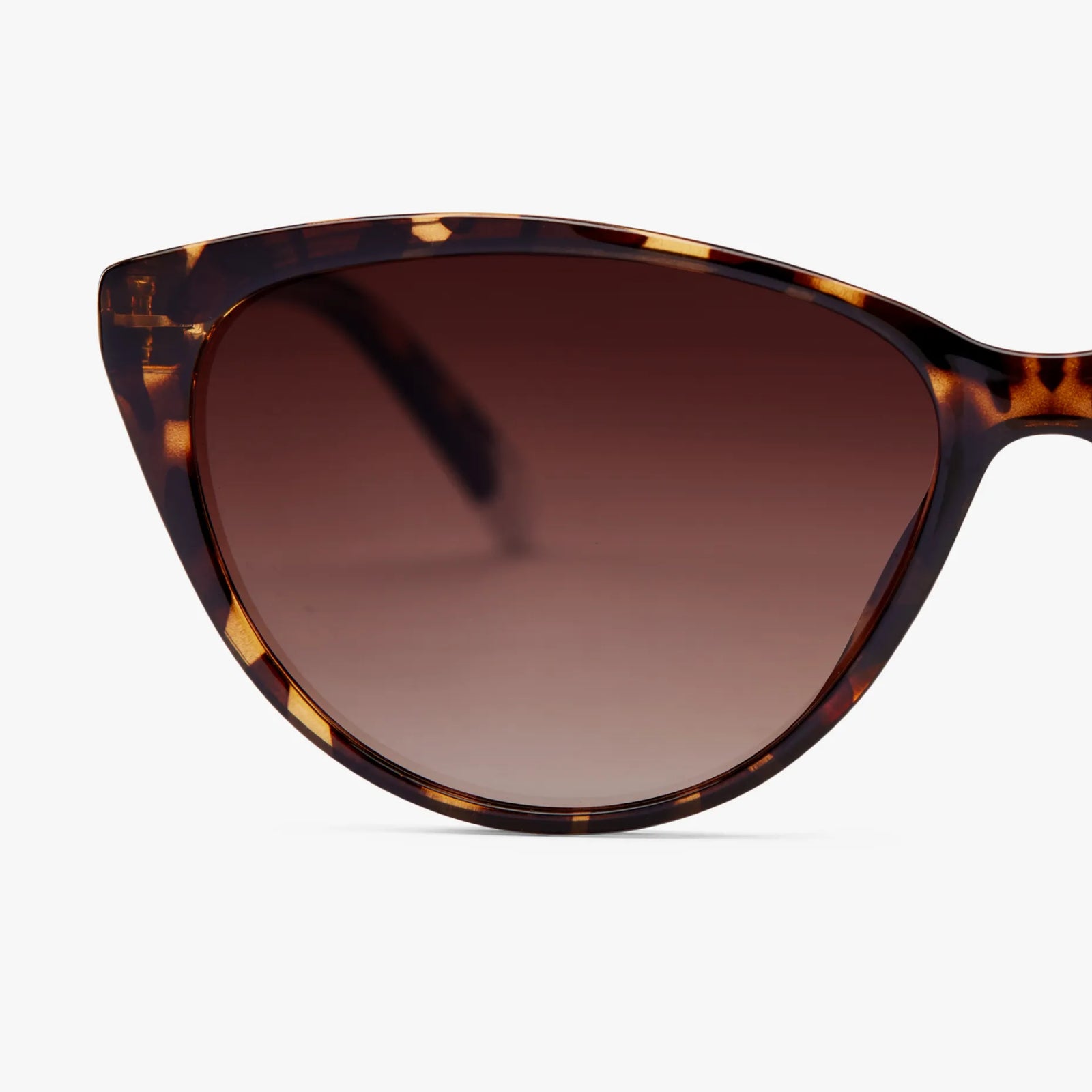 BARNER ASTORIA TORTOISE