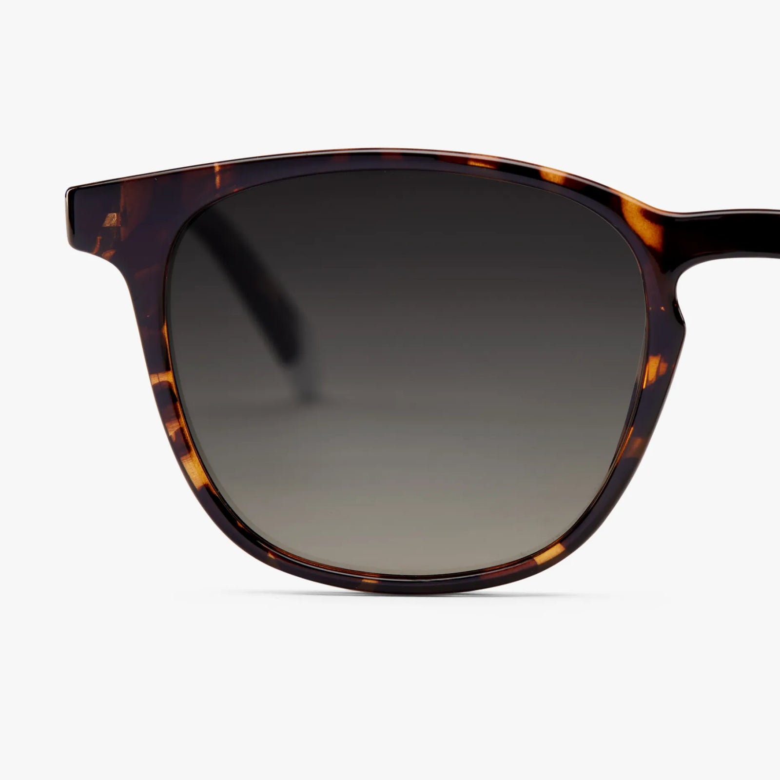 BARNER DALSTON TORTOISE