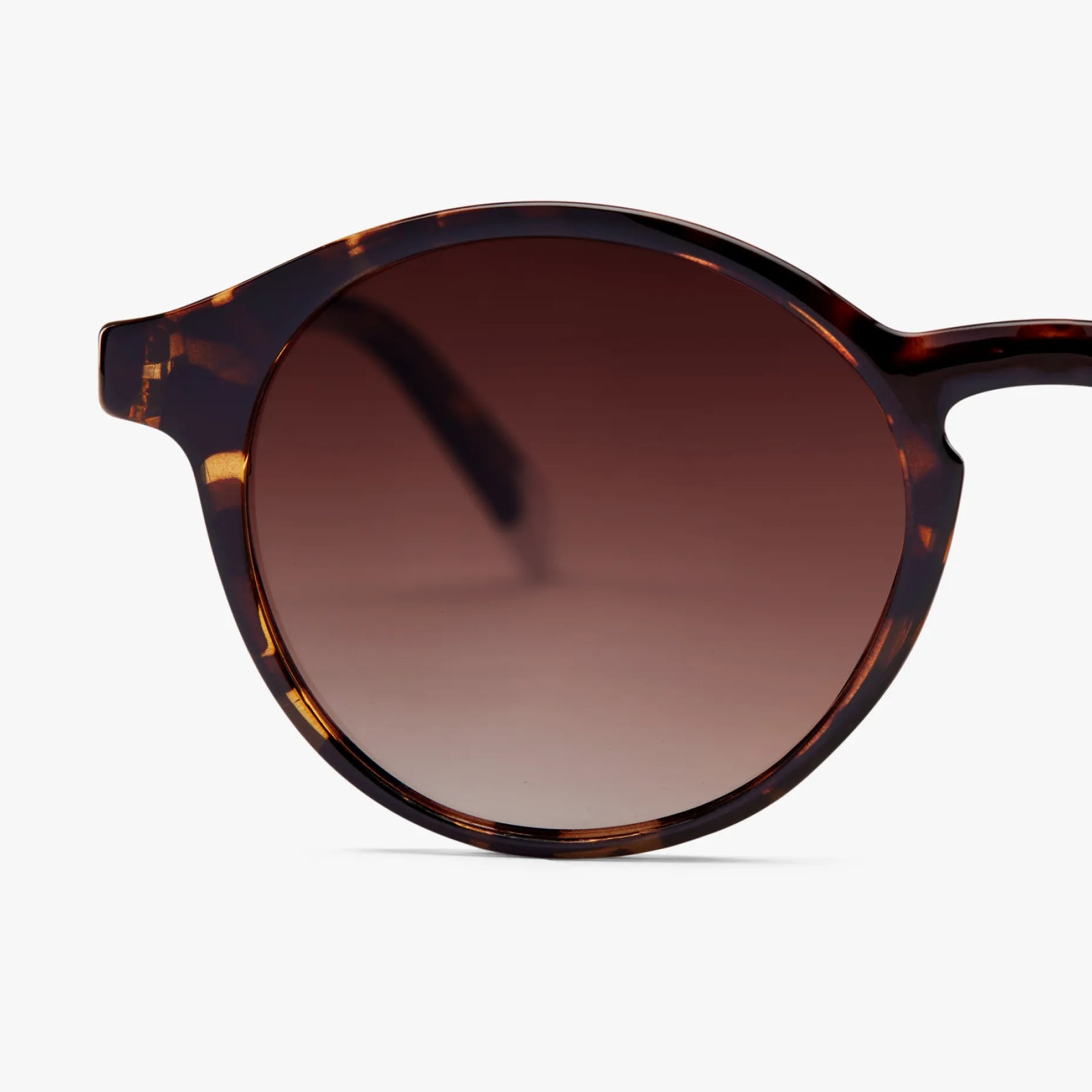BARNER LE MARAIS TORTOISE