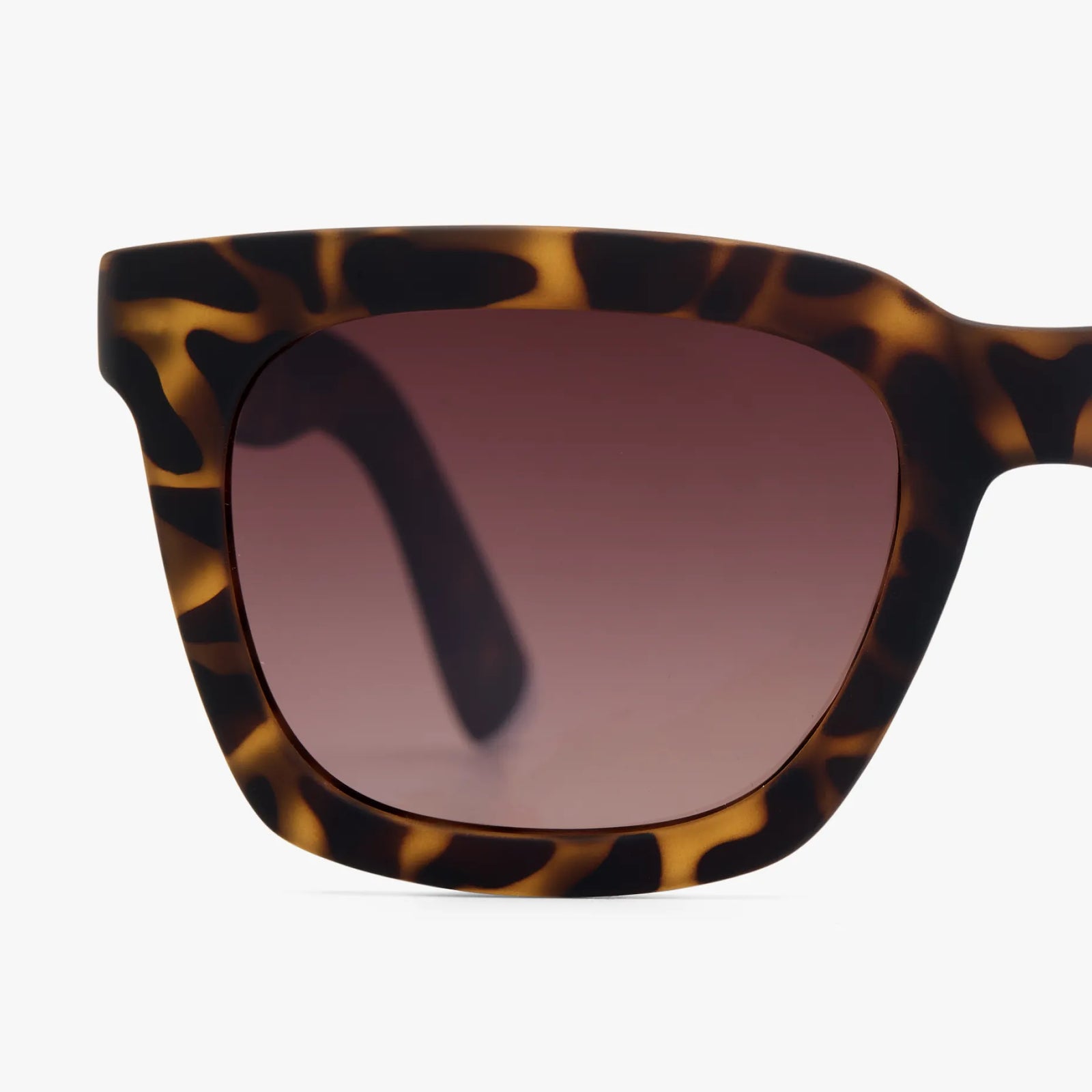 BARNER MAX TORTOISE