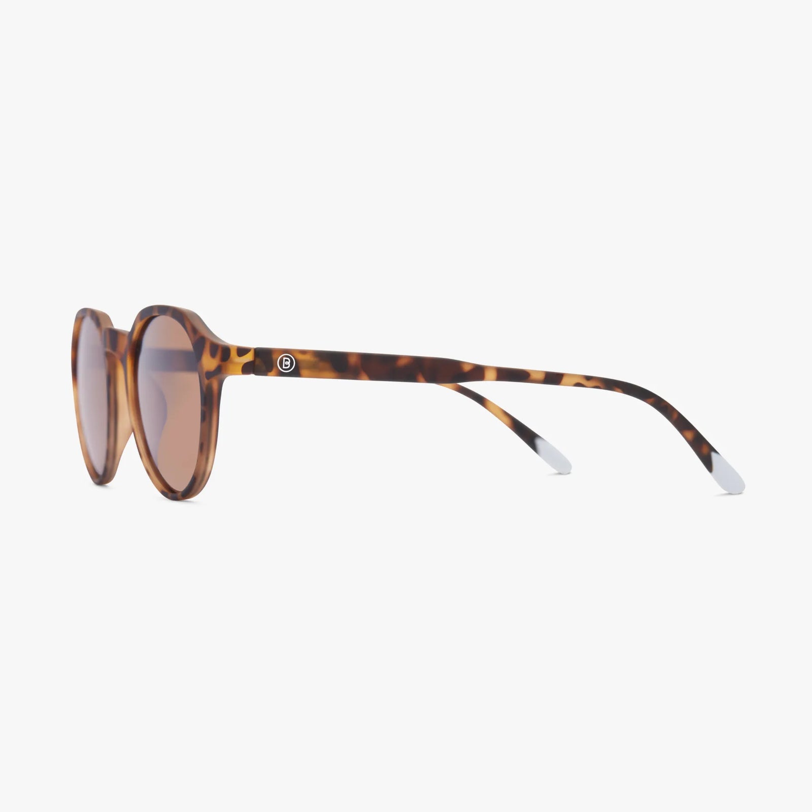 BARNER CHAMBERI TORTOISE