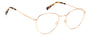 PIERRE CARDIN PC 8869 DDB