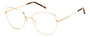 PIERRE CARDIN PC 8876 J5G