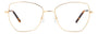 PIERRE CARDIN PC 8876 J5G