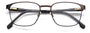 CARRERA 253 09Q RECTANGULAR / BROWN