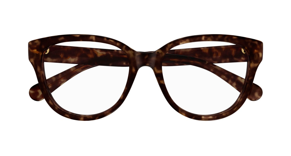 CHLOE CH0243O 6 ROUND / HAVANA