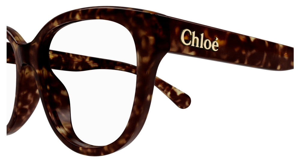 CHLOE CH0243O 6 ROUND / HAVANA