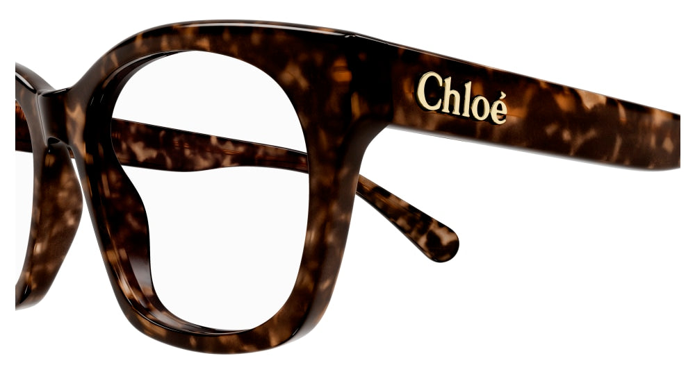 CHLOE CH0244O 6 SQUARE / HAVANA