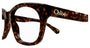 CHLOE CH0244O 6 SQUARE / HAVANA