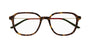 GUCCI GG1576O 2 SQUARE / HAVANA
