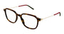 GUCCI GG1576O 2 SQUARE / HAVANA