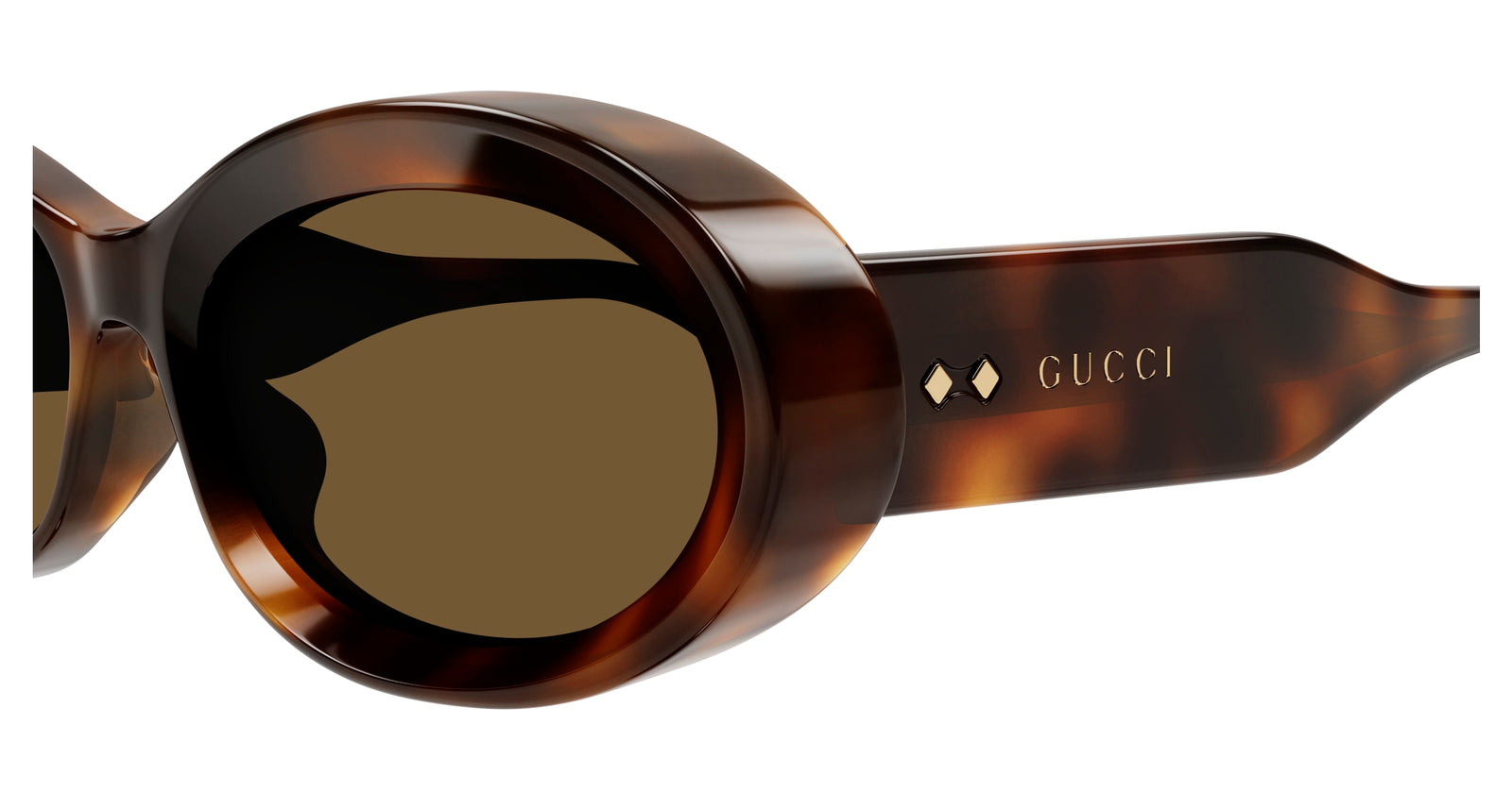 GUCCI GG1527S 2 OVAL / HAVANA