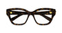 GUCCI GG1597O 2 CAT EYE / HAVANA