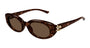 ALEXANDER MCQUEEN AM0469S 2 OVAL / HAVANA