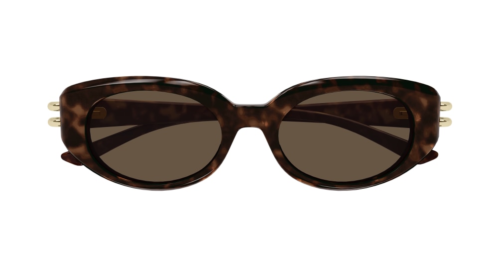 ALEXANDER MCQUEEN AM0469S 2 OVAL / HAVANA
