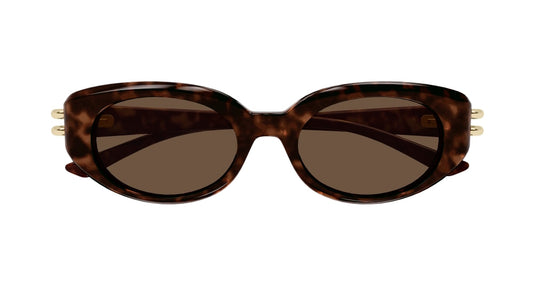 ALEXANDER MCQUEEN AM0469S 2 OVAL / HAVANA