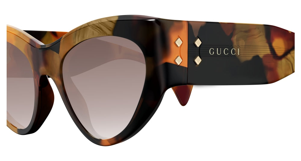 GUCCI GG1704S 2 CAT EYE / HAVANA