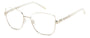 PIERRE CARDIN PC 8873 5HQ SQUARE / SILVER