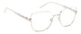 PIERRE CARDIN PC 8873 5HQ SQUARE / SILVER