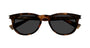 SAINT LAURENT SL 797 3 ROUND / HAVANA