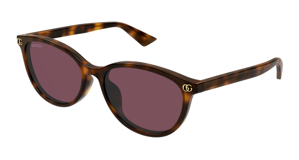 GUCCI GG1818SK 2 ROUND / HAVANA