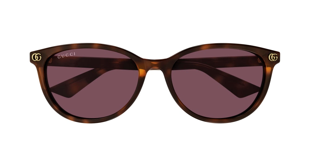 GUCCI GG1818SK 2 ROUND / HAVANA