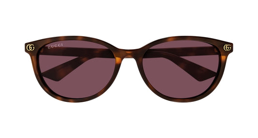 GUCCI GG1818SK 2 ROUND / HAVANA