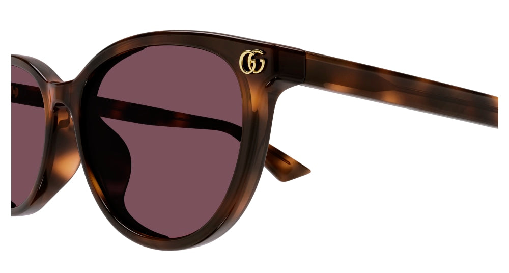 GUCCI GG1818SK 2 ROUND / HAVANA