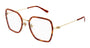 GUCCI GG1850O 2 ROUND / HAVANA