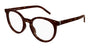 SAINT LAURENT SL M147 2 ROUND / HAVANA