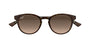 MAUI JIM MJ0636S 2 CAT EYE / HAVANA