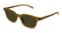 GUCCI GG1946S 3 OVAL / BROWN