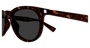 SAINT LAURENT SL 797 2 ROUND / HAVANA