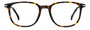 CARRERA 348 3MA RECTANGULAR / HAVANA