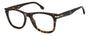 CARRERA 360 086 RECTANGULAR / HAVANA