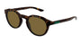 GUCCI GG2079S 2 ROUND / HAVANA