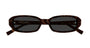 SAINT LAURENT SL 872 ERIN 3 OVAL / HAVANA