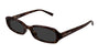 SAINT LAURENT SL 872 ERIN 3 OVAL / HAVANA