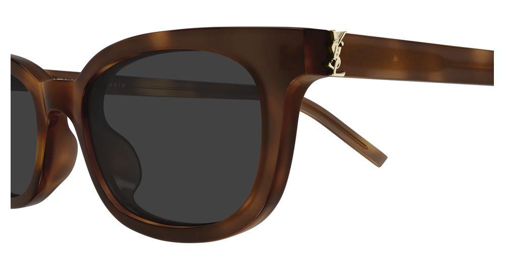 SAINT LAURENT SL M160 3 CAT EYE / HAVANA