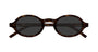 SAINT LAURENT SL M161 2 ROUND / HAVANA