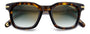 CARRERA 365/S 086 RECTANGULAR / HAVANA
