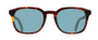 PAUL SMITH PS25618S 230 DARK / RECTANGULAR