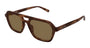 SAINT LAURENT SL 905 3 HAVANA / RECTANGULAR
