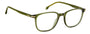 CARRERA 348 TBO OLIVE / SQUARE