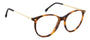 CARRERA 3094 WR9 BROWN / ROUND