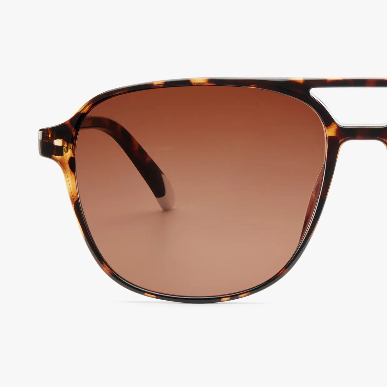 BARNER BRAD TORTOISE